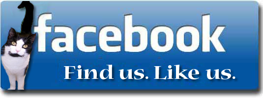 facebook banner facebook banner