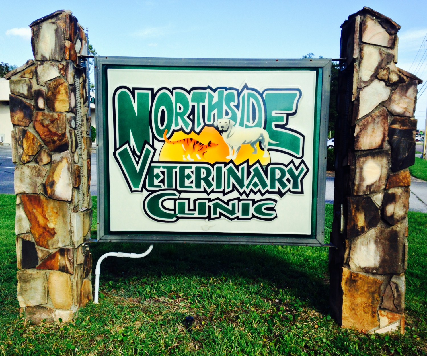 northside vet clinic
