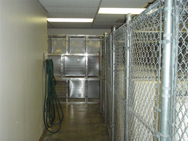 Kennel 